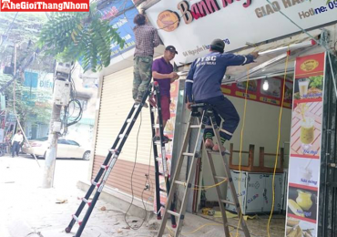 Những kiểu thang nhôm nổi bật của thương hiệu PAL